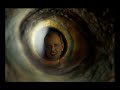 video for maxime le forestier. i shot it in 2001 at the natural history museum in bern, switzerland.