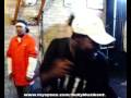 Jerk Musik EVANSTON SHOW PART 3