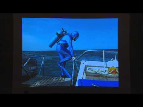 Plonger avec le Grand requin blanc / Diving with Great white shark by François Sarano
