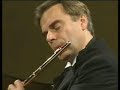 andrea griminelli,allegro,irene veneziano
