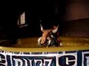 Blizzcon Bucking Elekk