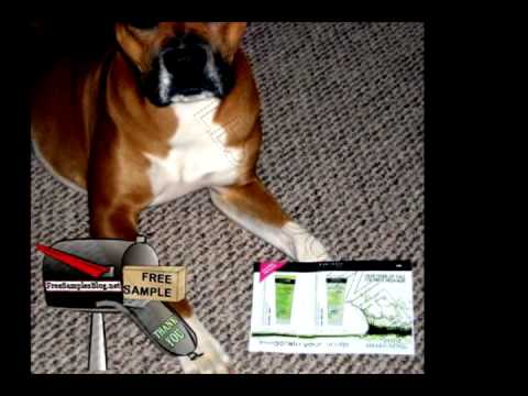 Free Sample John Frieda Root Awakening