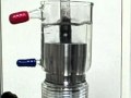 Sonics' Vibra-Cell Cup Horn Processing.wmv