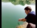 benekli alabalık