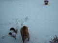 videos de MOV04519.MPG