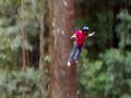 jem falling