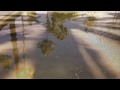 karev yom - ensemble majimaz
