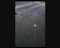 Carnaval 2008 - [ PART 1] -