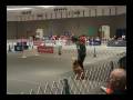 2008 AKC NOI Music Video