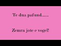 Gjith bota jemi dy!
