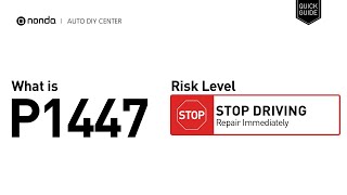Síntomas del p1447 BMW