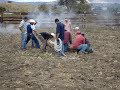 herrando en el rancho amatitan