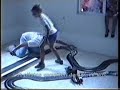 Mad Max Scalextric