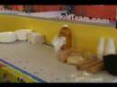 gold-martial-arts-birthday-party-fun-drills.html