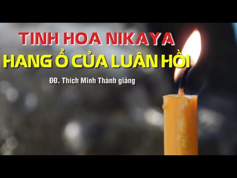 Tinh Hoa NIKAYA – Hang Ổ Của Luân Hồi