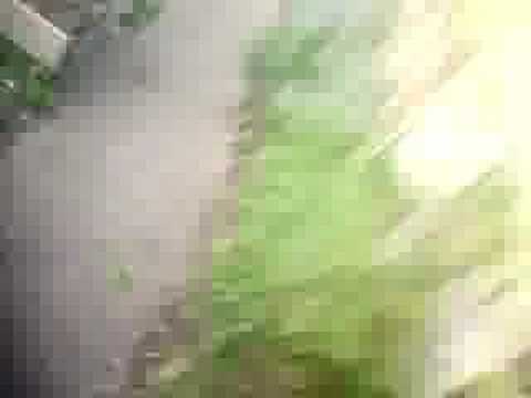 how to prove nuisance