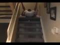 amazing ping pong shots