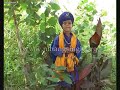 Bhuchang Sirtaj Singh - Nihang Bolay