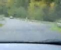 car slalom 206