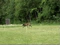 \"Ajax\" zoeken van kleine voorwerpen 05/08 \"Ajax\" zoeken van kleine voorwerpen 05/08