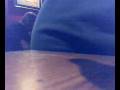 25082008259.mp4