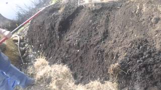 My First Perma Blitz pt 6