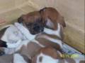 videos de The Dance - In Memory of Mindy