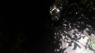 مناظر خلابه من اراضي دالية الروحه(3)