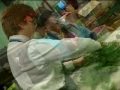 Horticulture Program