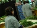 Horticulture Program