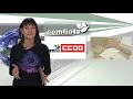 TIC competitividad, planes igualdad, muleros, Banco Espa�a