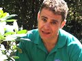 How To Plant A Tree or Shrub How To Plant A Tree or Shrub