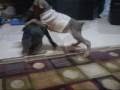 videos de Sisterly Love
