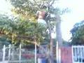 videos de sinaloa de leyva