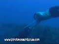 Wreck Apnoe - ProTec Sardinia