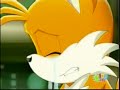tails its not over