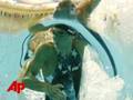 Olympics '08: Phelps Wins 10th, 11th Golds