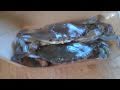 Cooking The French Laundry: Chesapeake Bay Soft-shell Crab Sandwich