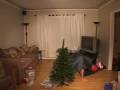 Time Lapse Tree Trimming
