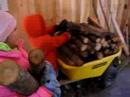Nieces helping with wood for the evaporator