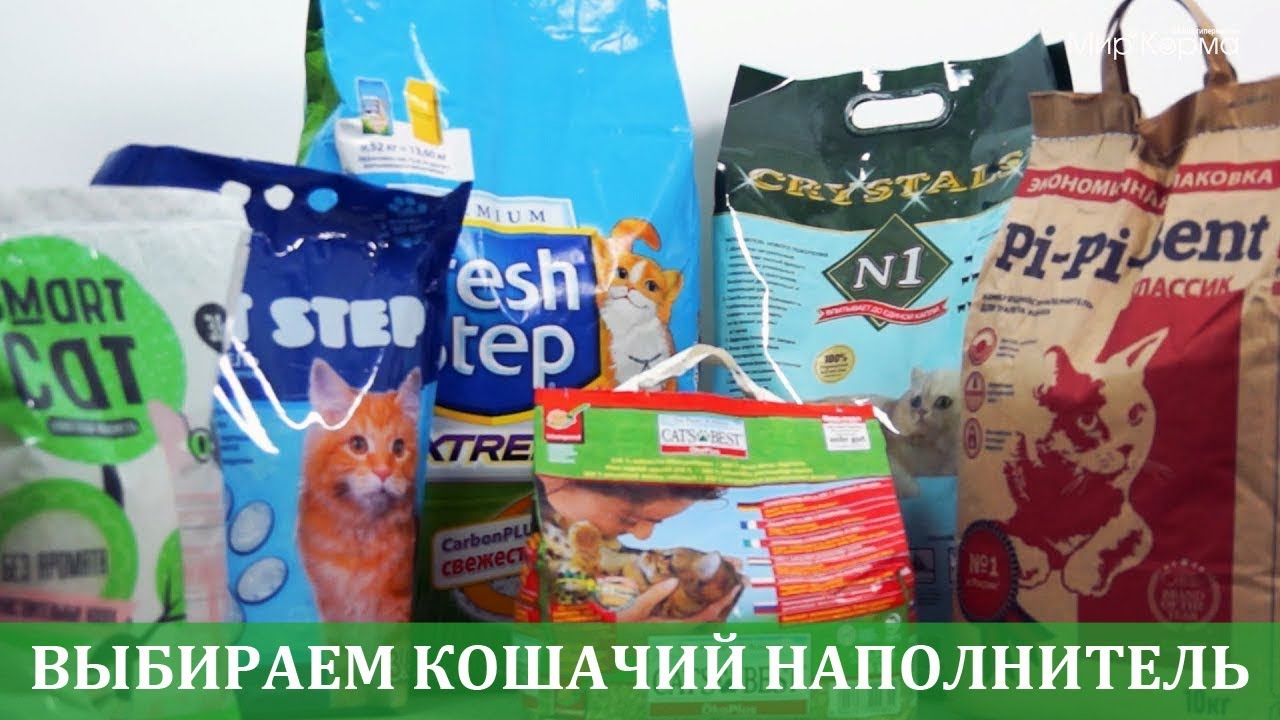 Выбираем кошачий наполнитель