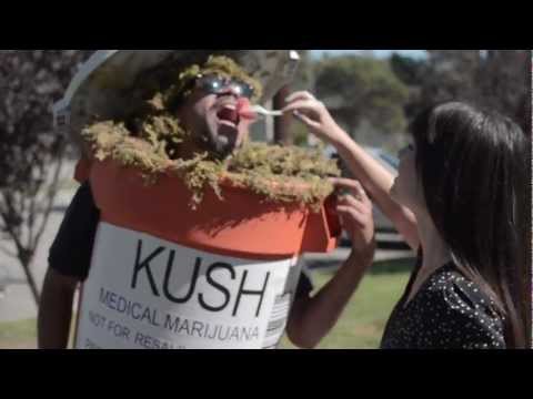 Tuneout Tuesdays: “That’s Why I Like Weed” by StonerChicksTV