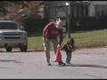 Isabel PM Commercial
