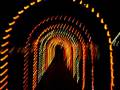 kingfisher lights, the tunnel of lights