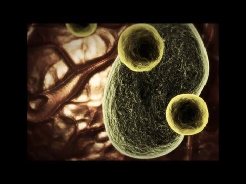 how to dissolve op 10