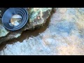 Using my DIY low profile gold trap sluice (1)