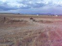 Me jumping a 350 honda Rancher