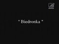 Biedronka