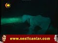 Sivan Perwer - Ey Ferat