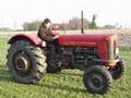 1962 Massey Ferguson MF 65 startup